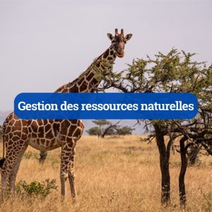 Gestion des ressources naturelles