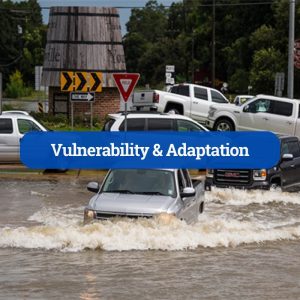 Vulnerability & Adaptation