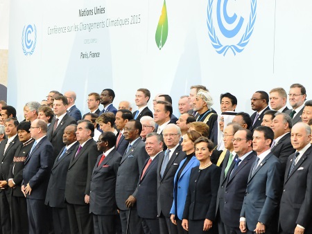 Support to COMIFAC during UNFCCC COP21 Climate Negotiations