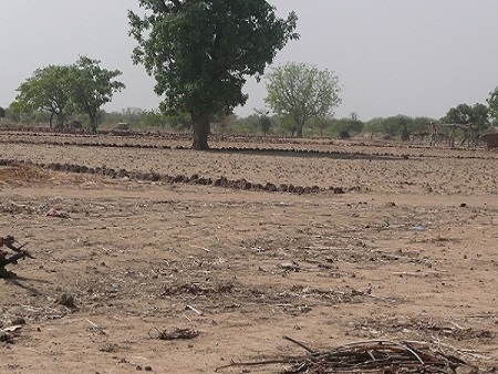 Renforcement des capacités de l’AND pour accéder au FVC Tchad