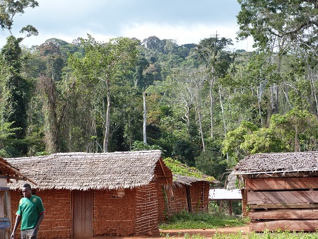 Etude de faisabilité REDD+ et document de conception du projet