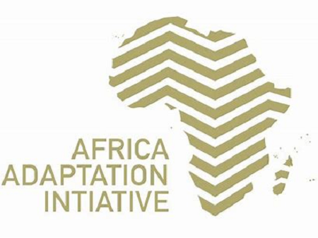 Initiative pour l’adaptation en Afrique (AAI)