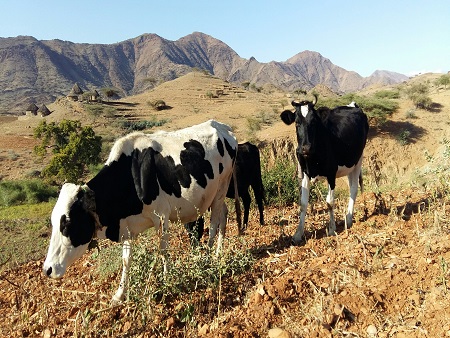 Évaluation Finale du Programme d’Adaptation pour l’Eau et l’Agriculture