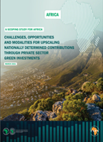 Challenges, opportunities, and modalities for upscaling nationally determined contributions through private sector green investments