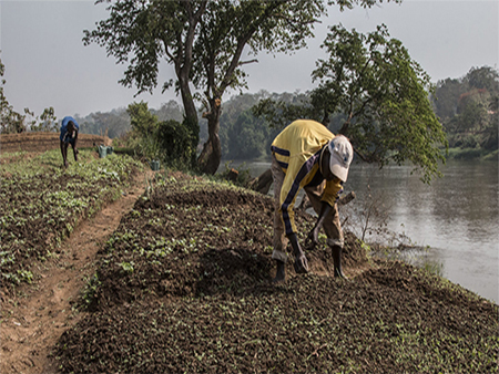 Final evaluation of rural resilience project