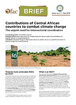 OFAC-Brief : Contributions of Central African countries to combat climate change: The urgent need for intersectorial coordination