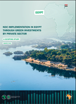 NDC implementation in Egypt through green investments by private sector – A Scoping Study