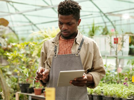 Formation aux services de conseil numériques sur le climat pour soutenir la résilience climatique des petits exploitants agricoles