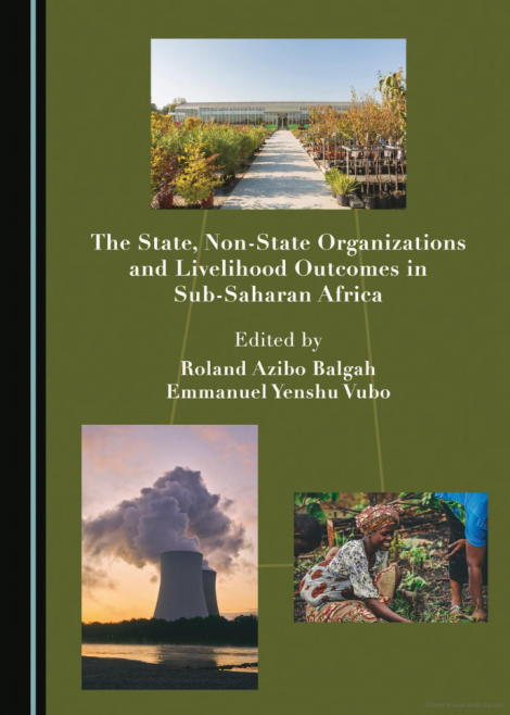 The State, Non-State Organizations and Livelihood Outcomes in Sub-Saharan Africa