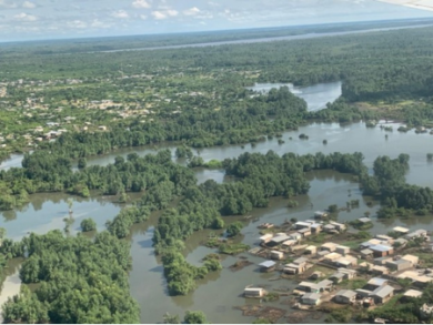 National Forest Financing Strategy Development