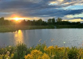 Une décennie pour transformer l’ambition climatique en impact (2015-2025)