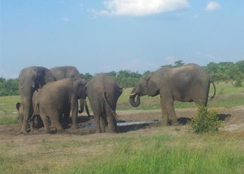 NDC Bankable Project Development