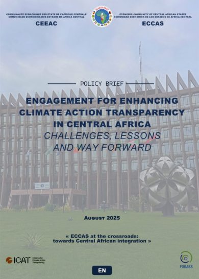 Engagement for enhancing climate action transparency in Central Africa – Challenges, Lessons and Way Forward